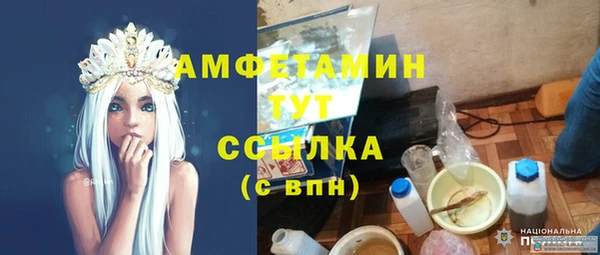мет Алексин