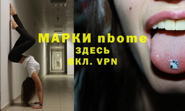 ПСИЛОЦИБИНОВЫЕ ГРИБЫ Козловка