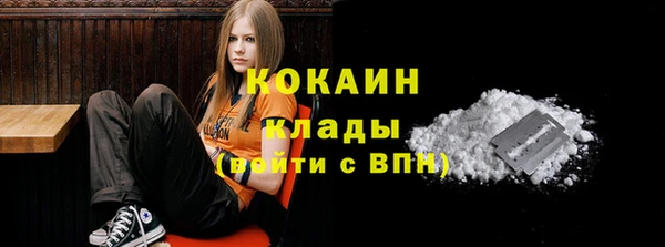 мет Алексин