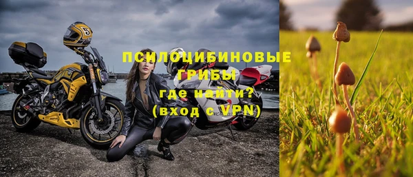 a pvp Алзамай