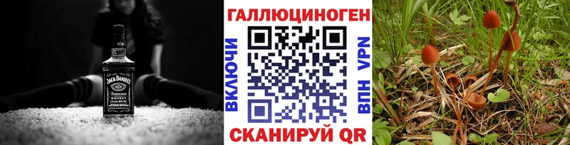 Галлюциногенные грибы Psilocybe  Лебедянь 